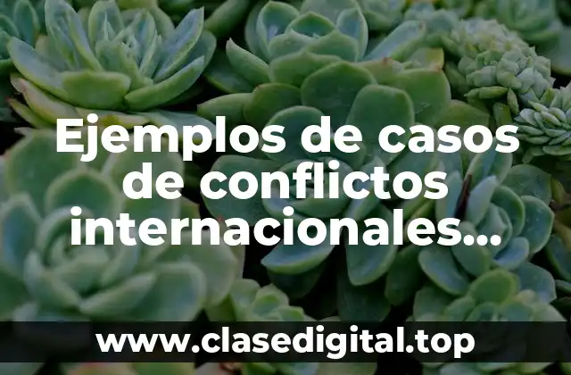 Ejemplos de casos de conflictos internacionales privados
