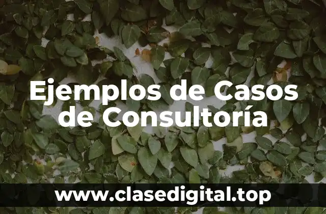 Ejemplos de Casos de Consultoría