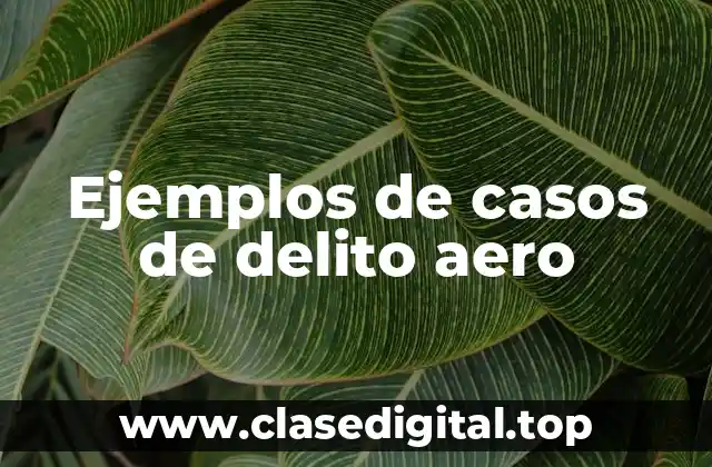 Ejemplos de casos de delito aero