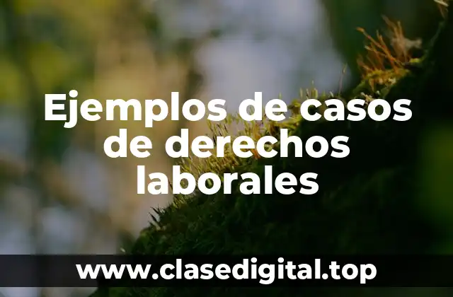 Ejemplos de casos de derechos laborales