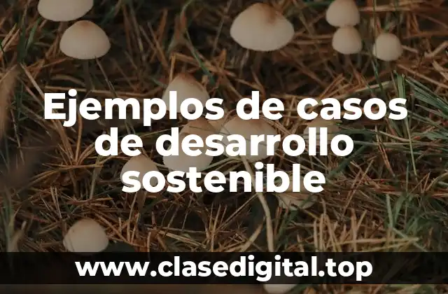Ejemplos de casos de desarrollo sostenible