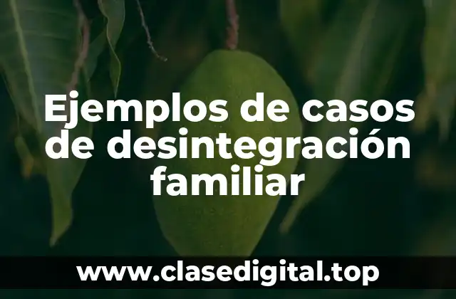 Ejemplos de casos de desintegración familiar