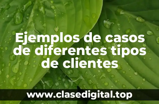 Ejemplos de casos de diferentes tipos de clientes