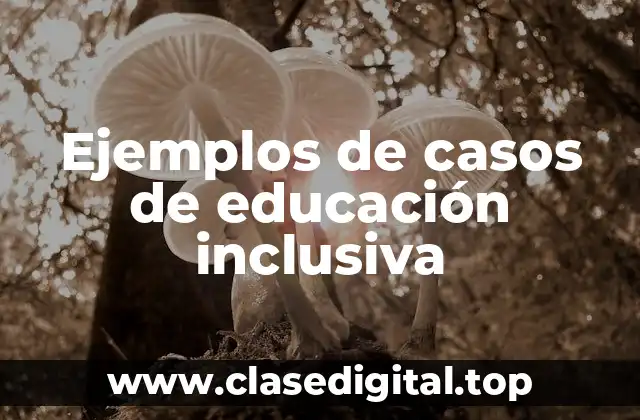 Ejemplos de casos de educación inclusiva