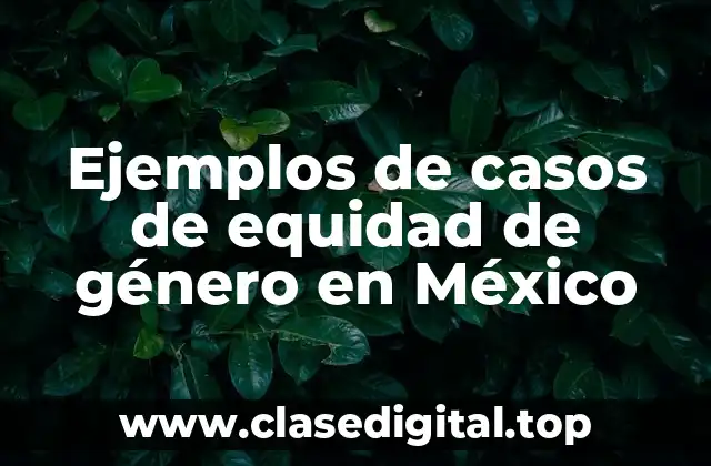 Ejemplos de casos de equidad de género en México