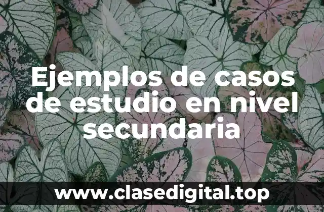 Ejemplos de casos de estudio en nivel secundaria