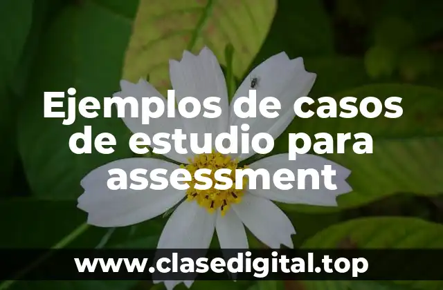 Ejemplos de casos de estudio para assessment