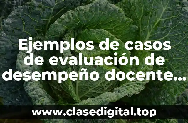 Ejemplos de casos de evaluación de desempeño docente y Significado