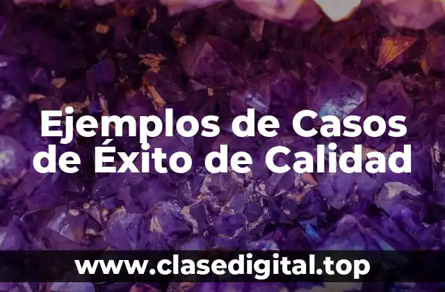 Ejemplos de Casos de Éxito de Calidad