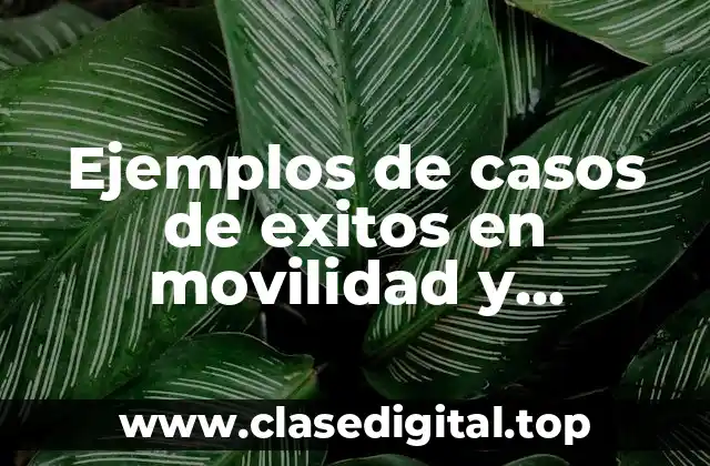 Ejemplos de casos de exitos en movilidad y Significado