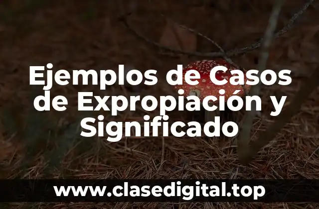 Ejemplos de Casos de Expropiación