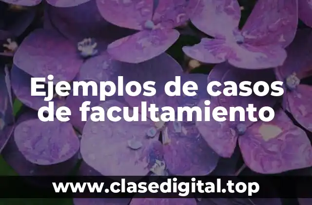 Ejemplos de casos de facultamiento
