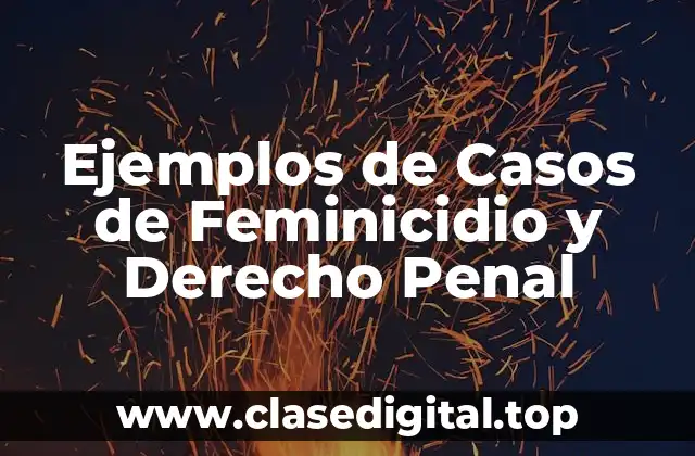 Ejemplos de Casos de Feminicidio y Derecho Penal