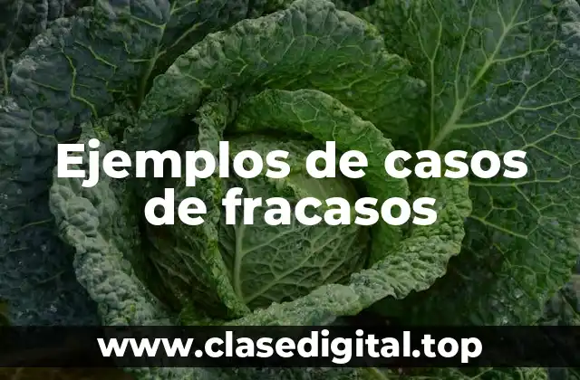 Ejemplos de casos de fracasos
