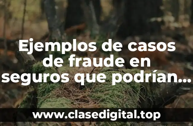 Ejemplos de casos de fraude en seguros que podrían ocurrir