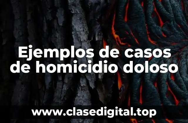 Ejemplos de casos de homicidio doloso