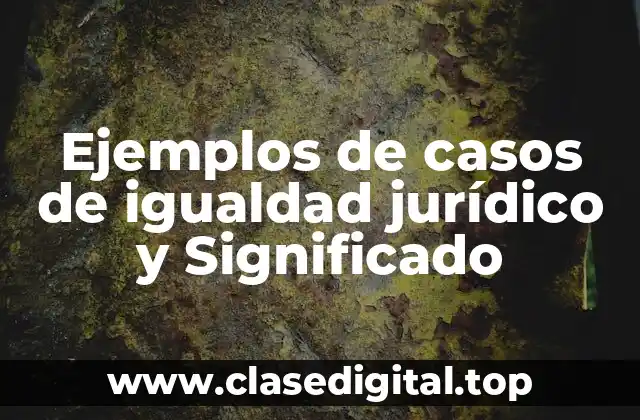 Ejemplos de casos de igualdad jurídico y Significado