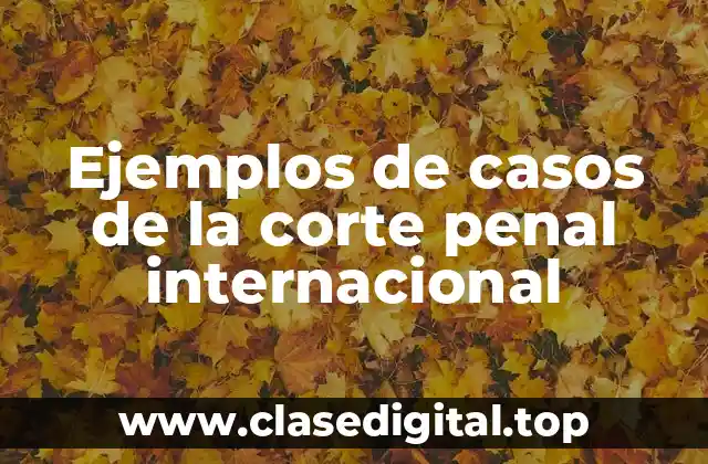 Ejemplos de casos de la Corte Penal Internacional