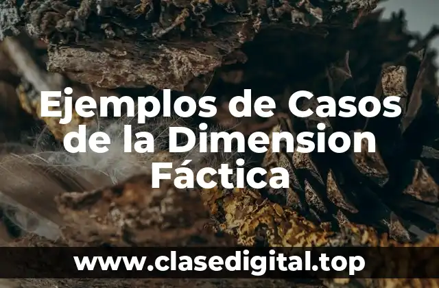 Ejemplos de Casos de la Dimensión Fáctica