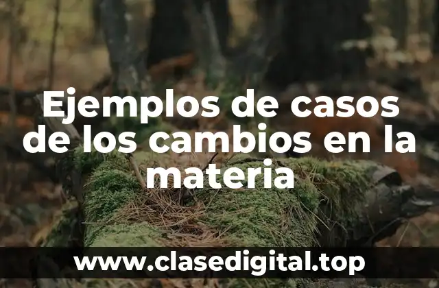 Ejemplos de casos de los cambios en la materia