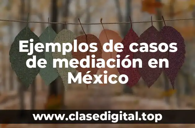 Ejemplos de casos de mediación en México