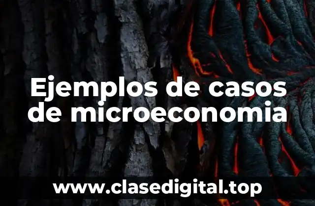 Ejemplos de casos de microeconomia