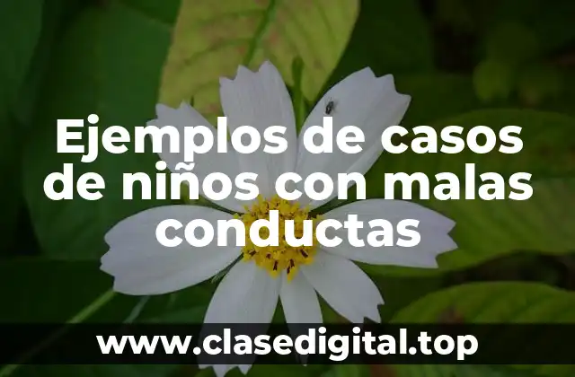 Ejemplos de casos de niños con malas conductas