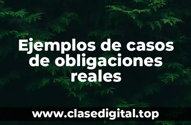 Ejemplos de casos de obligaciones reales