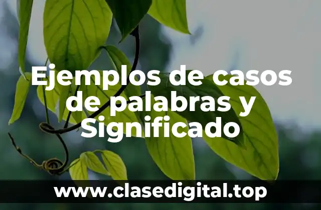 Ejemplos de casos de palabras y Significado