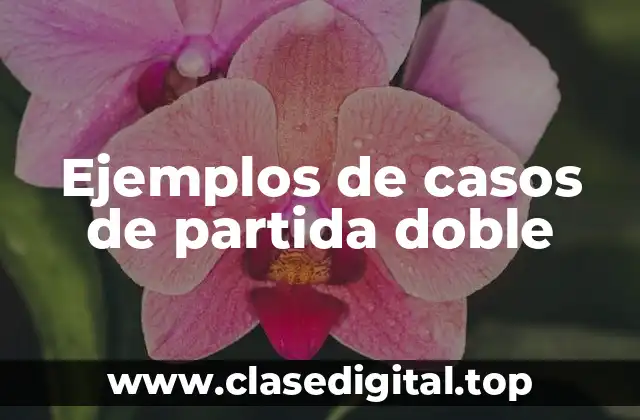Ejemplos de casos de partida doble