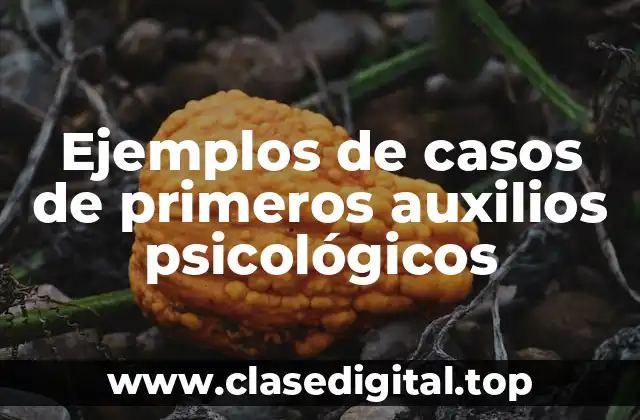 Ejemplos de casos de primeros auxilios psicológicos