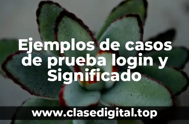 Ejemplos de casos de prueba login
