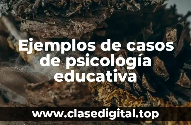 Ejemplos de casos de psicología educativa