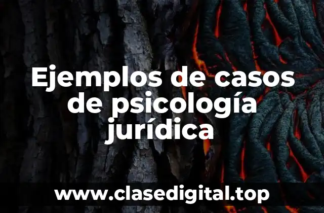 Ejemplos de casos de psicología jurídica