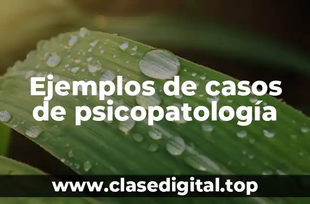 Ejemplos de casos de psicopatología