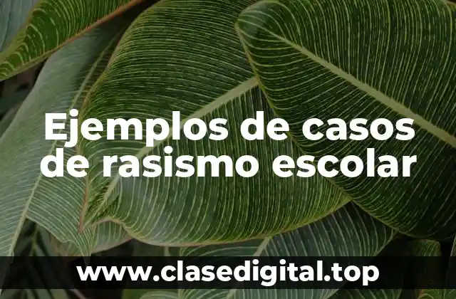 Ejemplos de casos de rasismo escolar