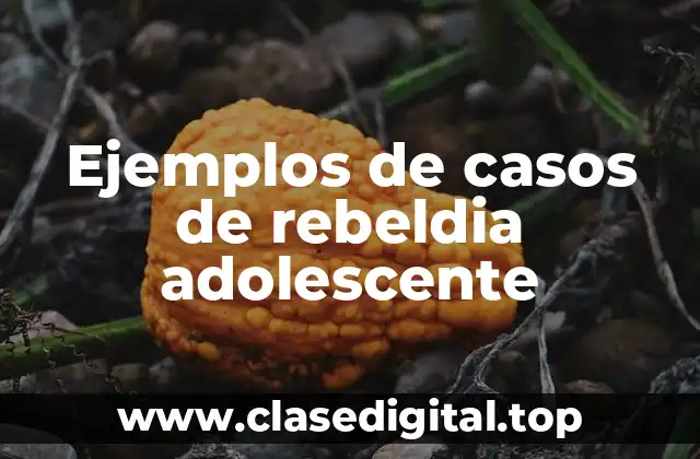 Ejemplos de casos de rebeldia adolescente