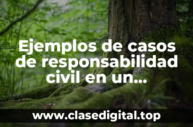 Ejemplos de casos de responsabilidad civil en un profesional