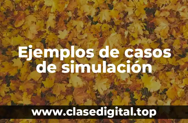 Ejemplos de casos de simulación