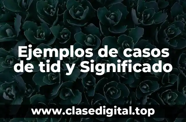 Ejemplos de casos de tid y Significado