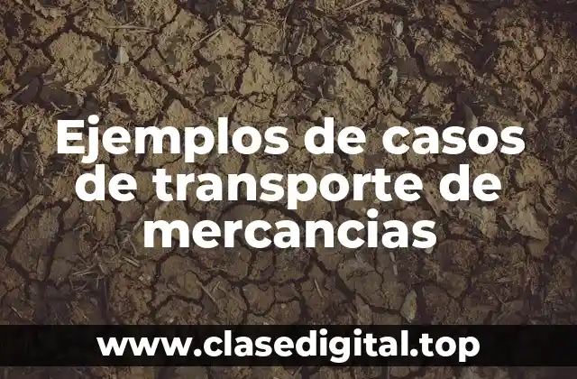 Ejemplos de casos de transporte de mercancias