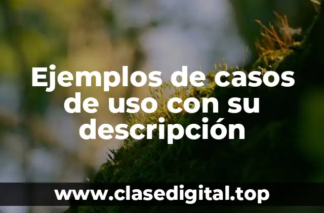 Ejemplos de casos de uso con su descripción