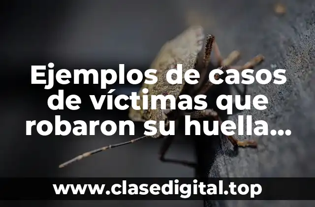Ejemplos de casos de víctimas que robaron su huella digital