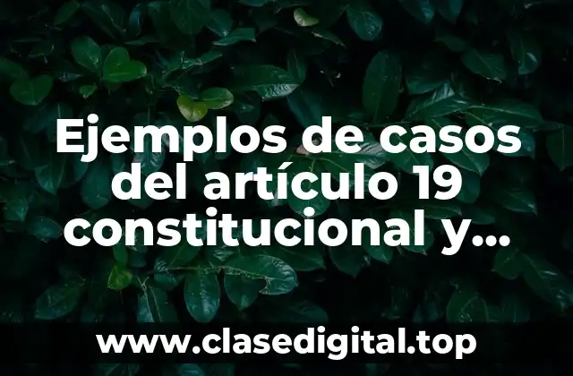 Ejemplos de casos del artículo 19 constitucional y Significado