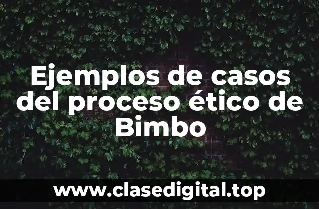 Ejemplos de casos del proceso ético de Bimbo