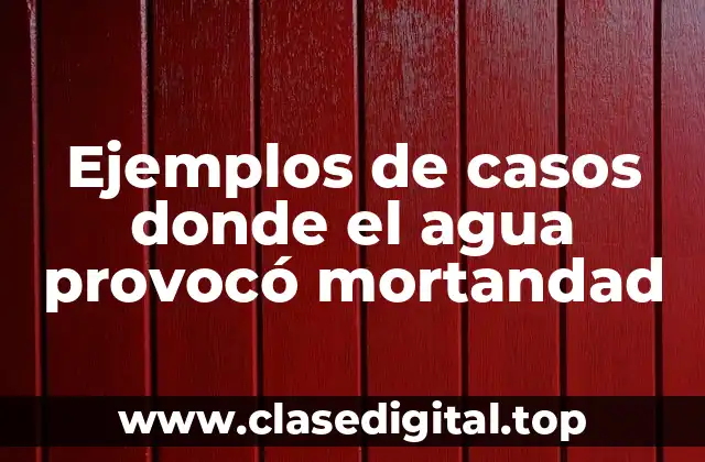 Ejemplos de casos donde el agua provocó mortandad