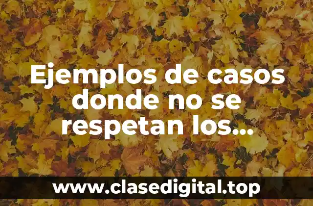 Ejemplos de casos donde no se respetan los derechos humanos