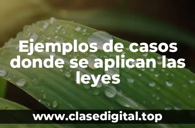 Ejemplos de casos donde se aplican las leyes