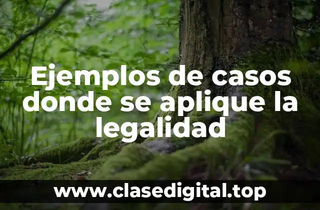 Ejemplos de casos donde se aplique la legalidad