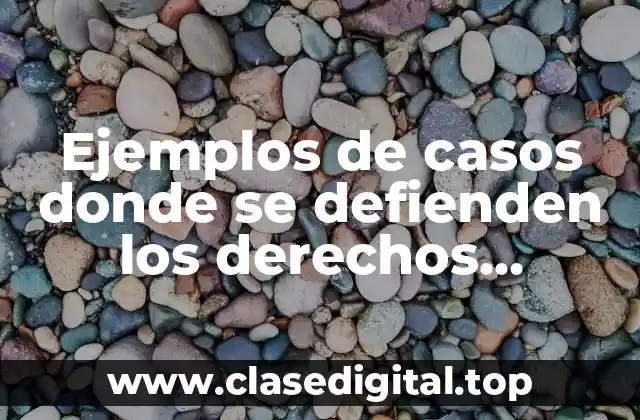 Ejemplos de casos donde se defienden los derechos humanos